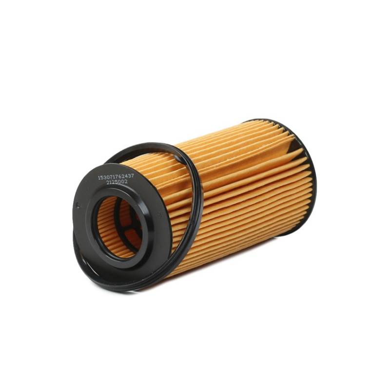 Oil Filter MAGNETI MARELLI 153071762437